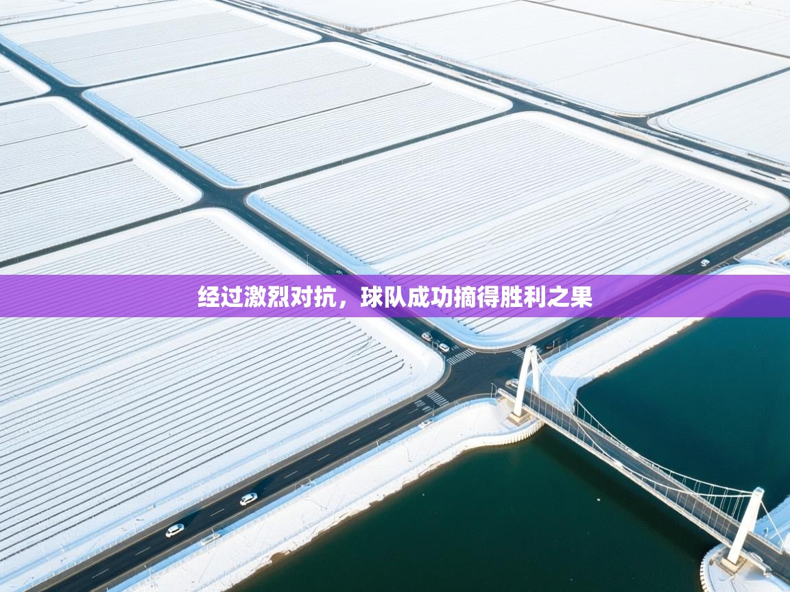 经过激烈对抗，球队成功摘得胜利之果  第1张