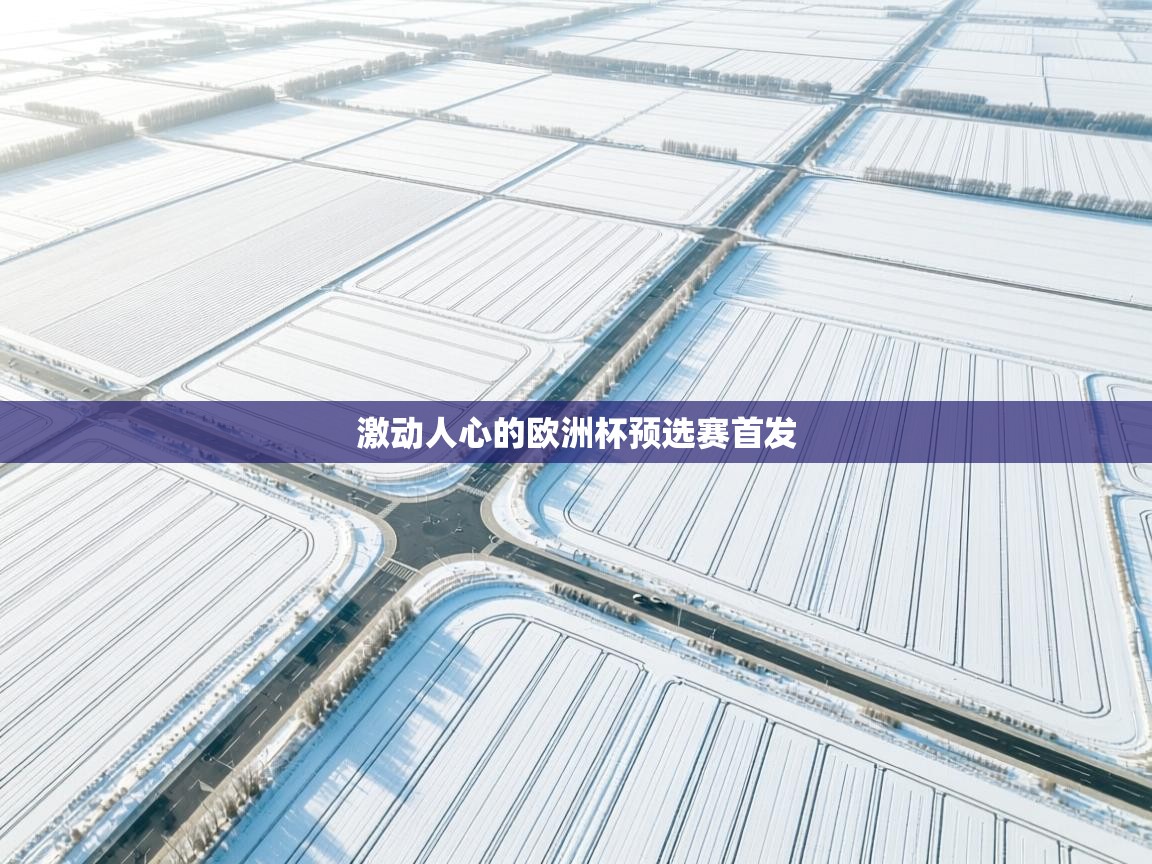 激动人心的欧洲杯预选赛首发  第1张