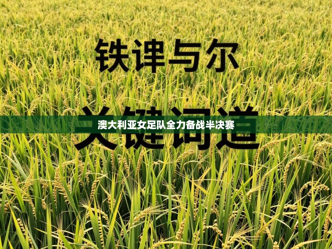 澳大利亚女足队全力备战半决赛  第1张