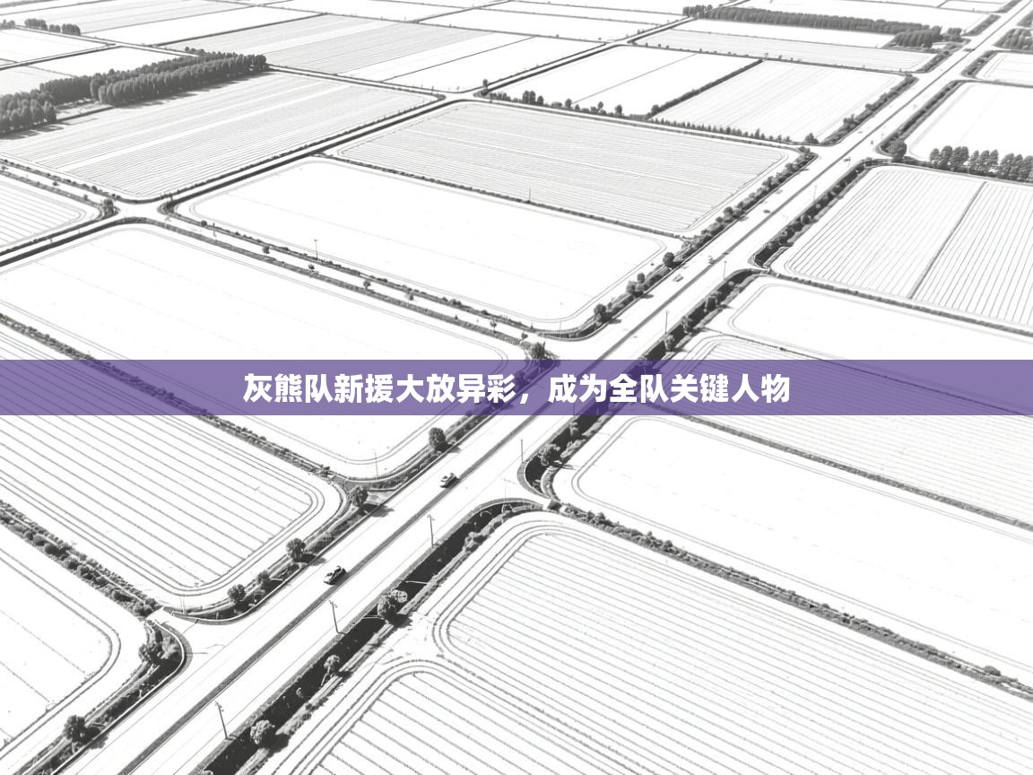 灰熊队新援大放异彩，成为全队关键人物  第2张