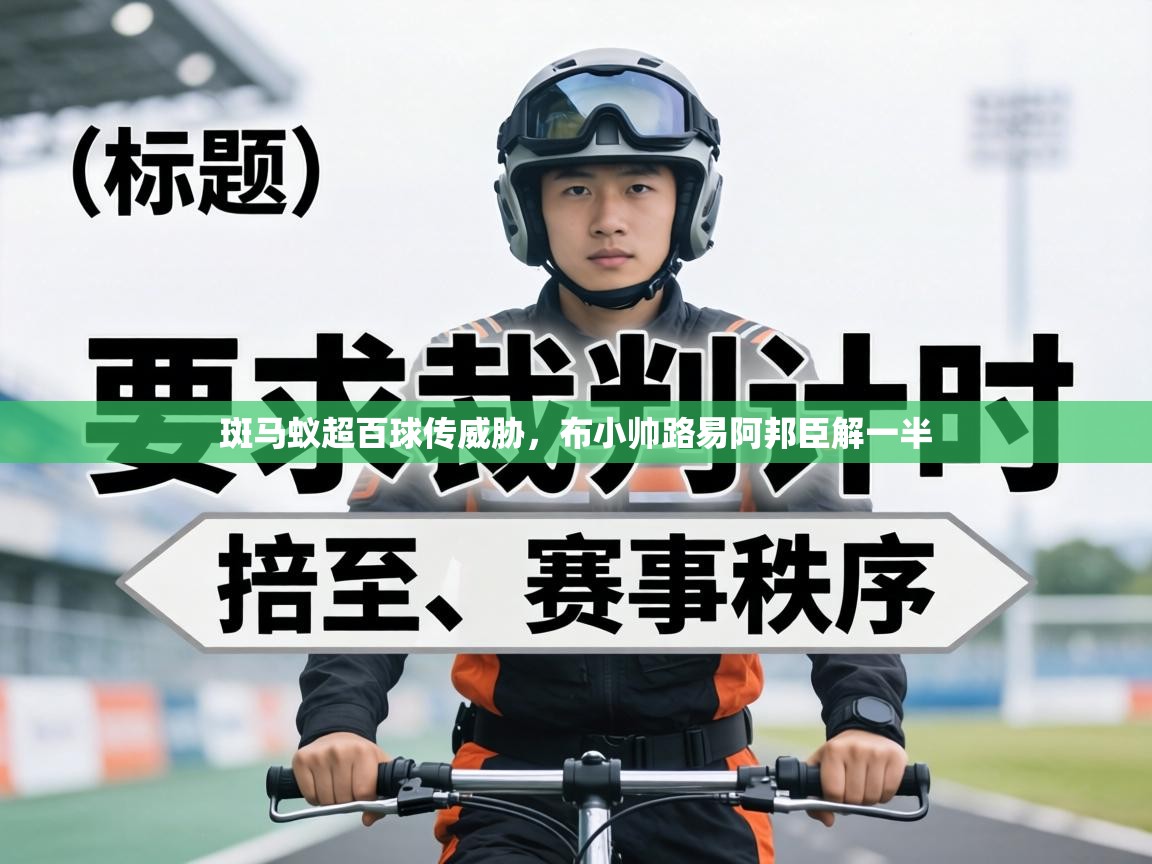 斑马蚁超百球传威胁,布小帅路易阿邦臣解一半 第2张
